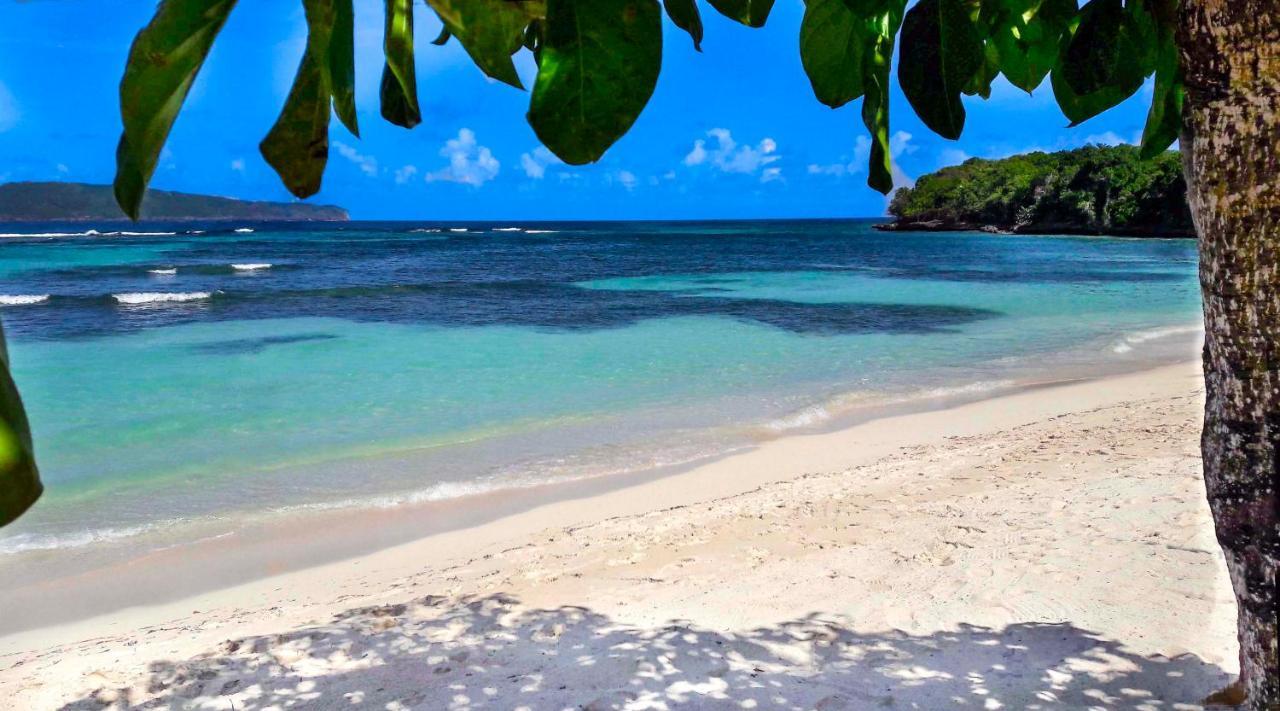 Ferienwohnung Jasmine La Playita - Ocean Front Las Galeras Exterior foto
