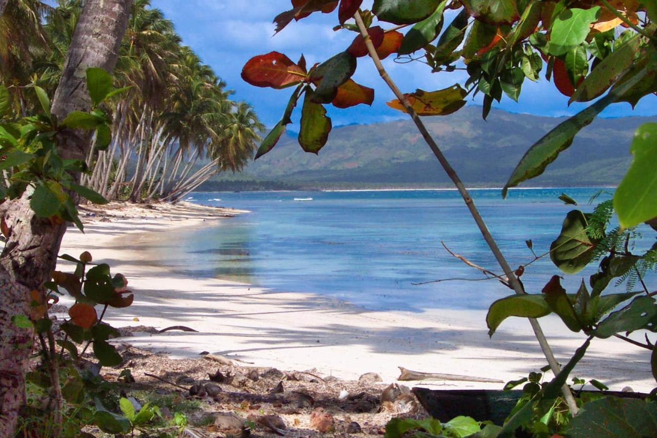 Ferienwohnung Jasmine La Playita - Ocean Front Las Galeras Exterior foto