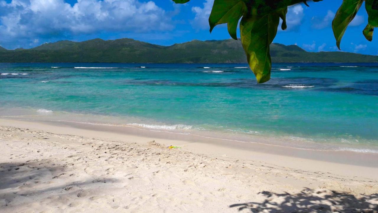 Ferienwohnung Jasmine La Playita - Ocean Front Las Galeras Exterior foto